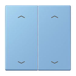 Jung Wippe, mit Pfeilsymbolen für Taster 2fach,...