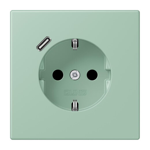 Jung SCHUKO Steckdose 16 A 250 V ~, mit USB-Ladegerät 1 x Typ C, SAFETY+, Serie LS, vert anglais clair LC1520-18C217