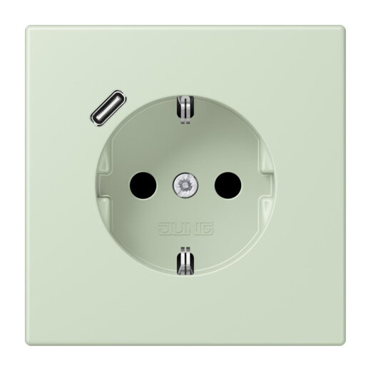 Jung SCHUKO Steckdose 16 A 250 V ~, mit USB-Ladegerät 1 x Typ C, SAFETY+, Serie LS, vert anglâis pale LC1520-18C218