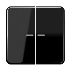 Jung HOME Taster 2fach, Duroplast, Serie CD, schwarz...