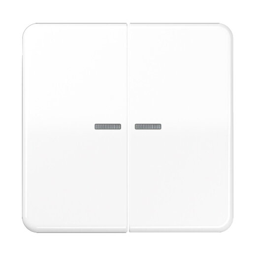 Jung HOME Taster 2fach, Duroplast, Serie CD, alpinweiß BTCD17102WW