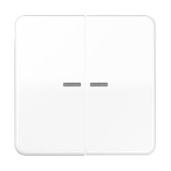 Jung HOME Taster 2fach, Duroplast, Serie CD,...