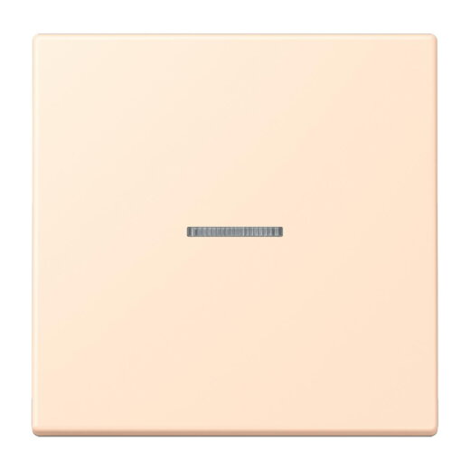 Jung HOME Taster 1fach, Serie LS, terre sienne pâle BTLC17101238