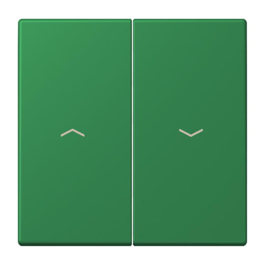 Jung Wippe 2fach, mit Pfeilsymbolen, Serie LS, vert foncé LC995P219
