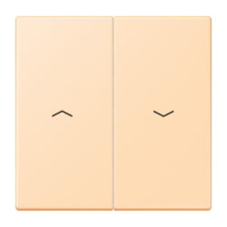 Jung Wippe 2fach, mit Pfeilsymbolen, Serie LS, ocre...