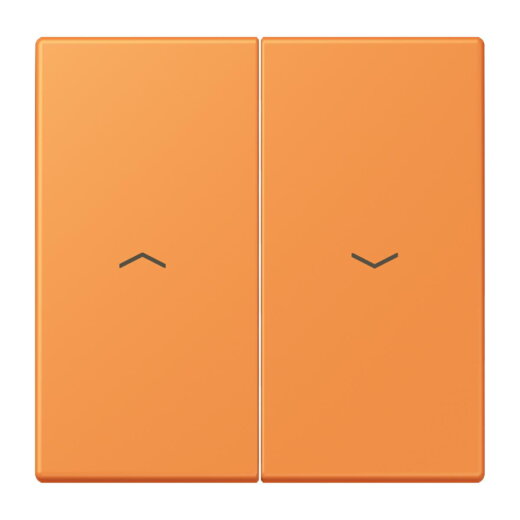 Jung Wippe 2fach, mit Pfeilsymbolen, Serie LS, orange clair LC995P225