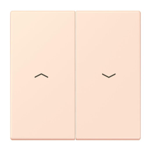 Jung Wippe 2fach, mit Pfeilsymbolen, Serie LS, orange pâle LC995P226