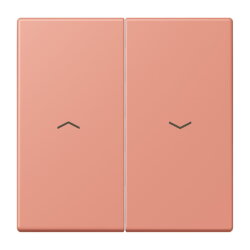 Jung Wippe 2fach, mit Pfeilsymbolen, Serie LS, locre...