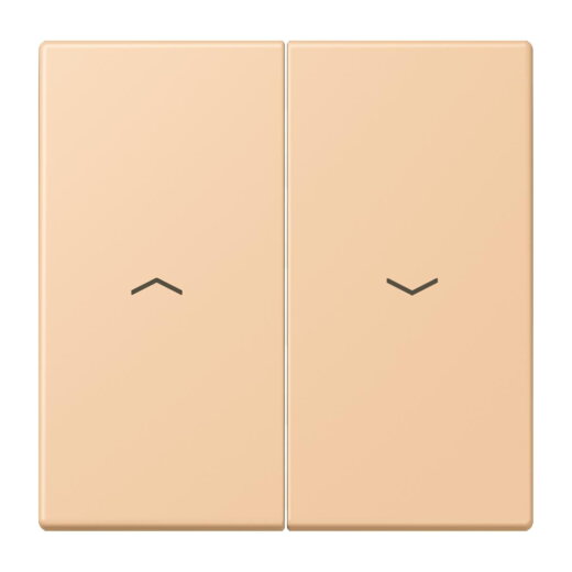 Jung Wippe 2fach, mit Pfeilsymbolen, Serie LS, terre sienne claire 31 LC995P237