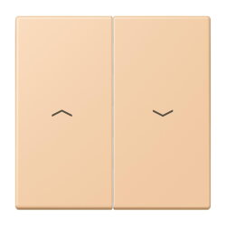 Jung Wippe 2fach, mit Pfeilsymbolen, Serie LS, terre...