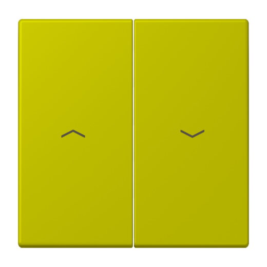 Jung Wippe 2fach, mit Pfeilsymbolen, Serie LS, vert olive vif LC995P249