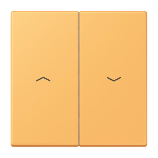 Jung Wippe 2fach, mit Pfeilsymbolen, Serie LS, ocre jaune clair LC995P254