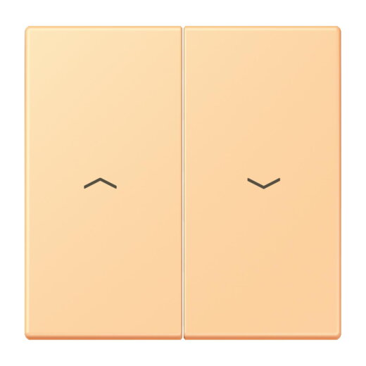 Jung Wippe 2fach, mit Pfeilsymbolen, Serie LS, terre sienne claire 59 LC995P258