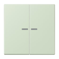 Jung HOME Taster 2fach, Serie LS, vert anglâis pale...