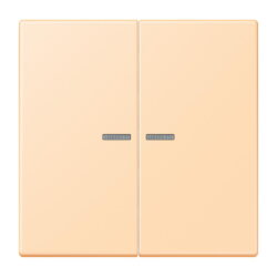 Jung HOME Taster 2fach, Serie LS, ocre BTLC17102223
