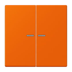 Jung HOME Taster 2fach, Serie LS, orange BTLC17102224