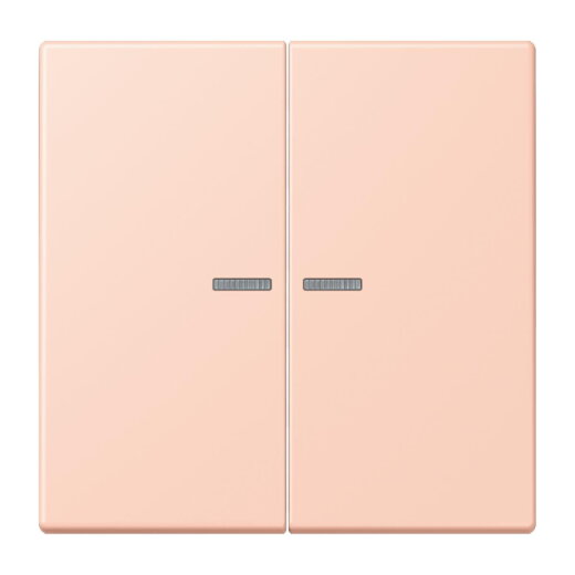 Jung HOME Taster 2fach, Serie LS, locre rouge clair BTLC17102234