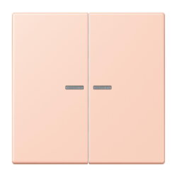 Jung HOME Taster 2fach, Serie LS, locre rouge clair...