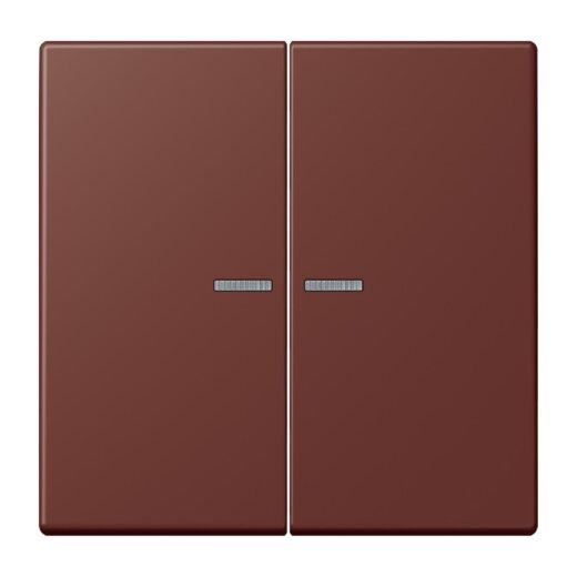 Jung HOME Taster 2fach, Serie LS, terre sienne br?lée 31 BTLC17102235