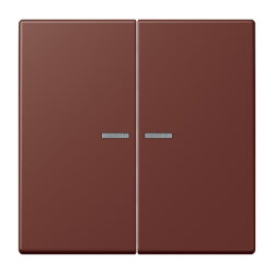 Jung HOME Taster 2fach, Serie LS, terre sienne...