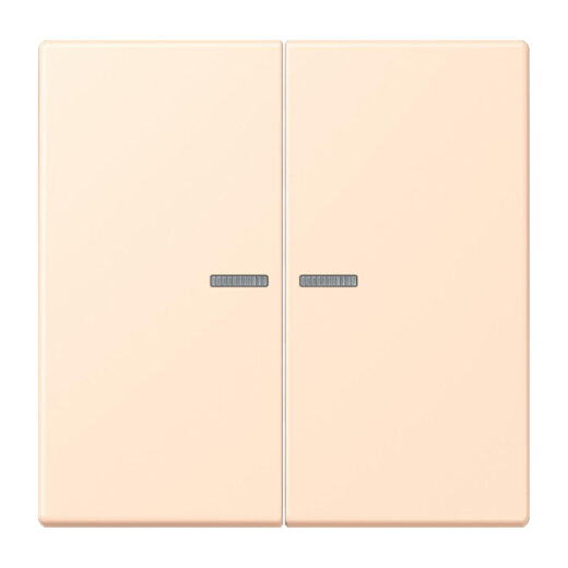 Jung HOME Taster 2fach, Serie LS, terre sienne pâle BTLC17102238