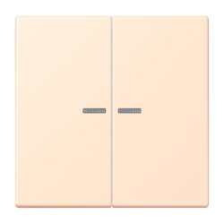 Jung HOME Taster 2fach, Serie LS, terre sienne pâle...