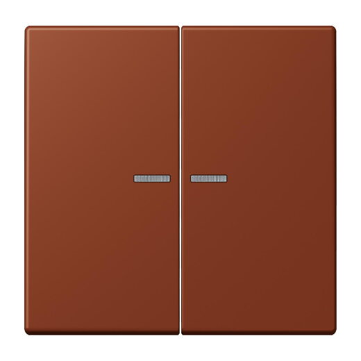 Jung HOME Taster 2fach, Serie LS, terre sienne br?lée 59 BTLC17102247