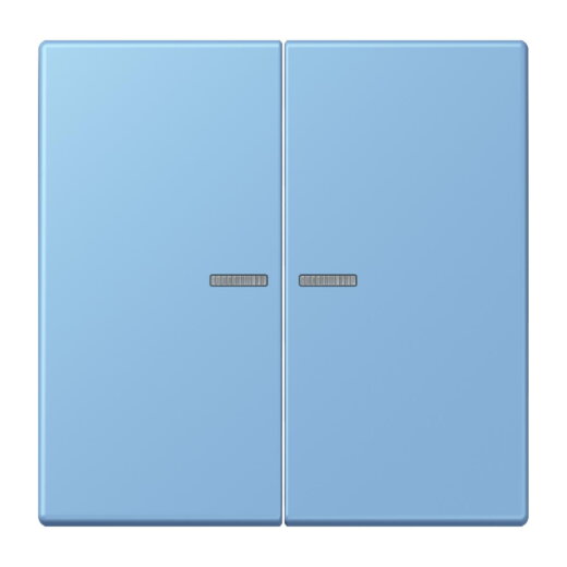 Jung HOME Taster 2fach, Serie LS, bleu céruléen 59 BTLC17102256