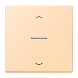 Jung HOME Taster 1fach, mit Pfeilsymbolen, Serie LS, ocre...