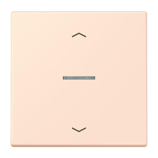 Jung HOME Taster 1fach, mit Pfeilsymbolen, Serie LS, orange pâle BTLC17101P226
