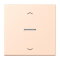 Jung HOME Taster 1fach, mit Pfeilsymbolen, Serie LS, rose pâle BTLC17101P228
