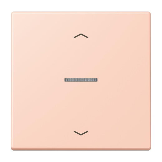 Jung HOME Taster 1fach, mit Pfeilsymbolen, Serie LS, locre rouge clair BTLC17101P234
