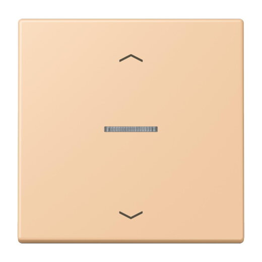 Jung HOME Taster 1fach, mit Pfeilsymbolen, Serie LS, terre sienne claire 31 BTLC17101P237