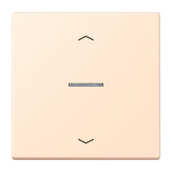 Jung HOME Taster 1fach, mit Pfeilsymbolen, Serie LS,...