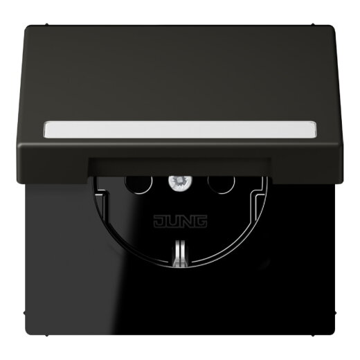 Jung SCHUKO Steckdose, 16 A 250 V ~, mit Schriftfeld, Serie LS, ombre n LC1520BFNAKL259
