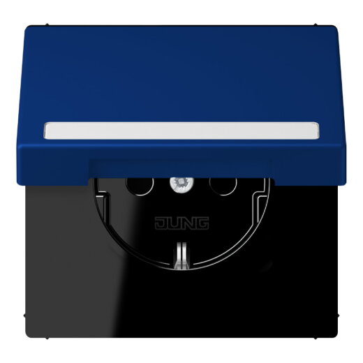 Jung SCHUKO Steckdose, 16 A 250 V ~, mit Schriftfeld, Serie LS, bleu ou LC1520BFNAKL261