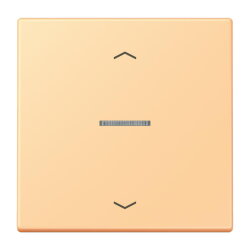 Jung HOME Taster 1fach, mit Pfeilsymbolen, Serie LS,...