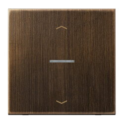 Jung HOME Taster 1fach, mit Pfeilsymbolen, Messing, Serie...