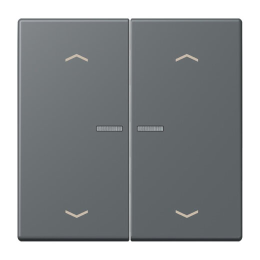 Jung HOME Taster 2fach, mit Pfeilsymbolen, Serie LS, gris foncé 31 BTLC17102P202