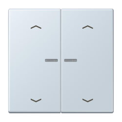 Jung HOME Taster 2fach, mit Pfeilsymbolen, Serie LS,...