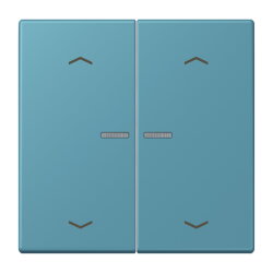 Jung HOME Taster 2fach, mit Pfeilsymbolen, Serie LS,...