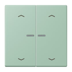 Jung HOME Taster 2fach, mit Pfeilsymbolen, Serie LS, vert...