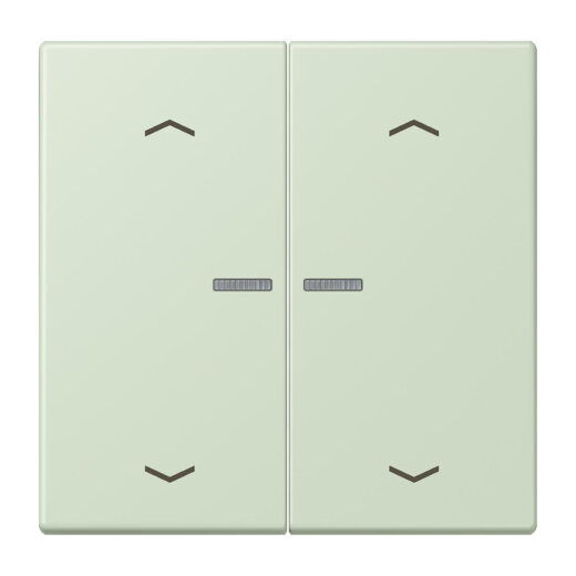 Jung HOME Taster 2fach, mit Pfeilsymbolen, Serie LS, vert anglâis pale BTLC17102P218