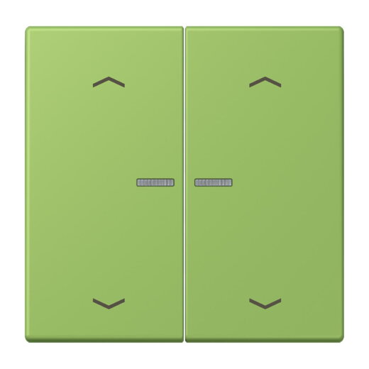 Jung HOME Taster 2fach, mit Pfeilsymbolen, Serie LS, vert 31 BTLC17102P220