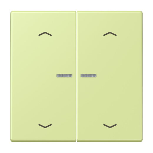 Jung HOME Taster 2fach, mit Pfeilsymbolen, Serie LS, vert jaune clair BTLC17102P222