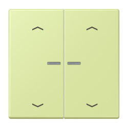 Jung HOME Taster 2fach, mit Pfeilsymbolen, Serie LS, vert...