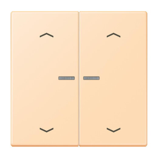 Jung HOME Taster 2fach, mit Pfeilsymbolen, Serie LS, ocre BTLC17102P223