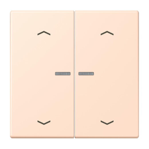 Jung HOME Taster 2fach, mit Pfeilsymbolen, Serie LS, rose pâle BTLC17102P228