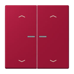 Jung HOME Taster 2fach, mit Pfeilsymbolen, Serie LS,...