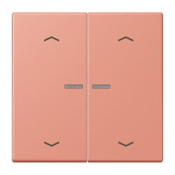 Jung HOME Taster 2fach, mit Pfeilsymbolen, Serie LS,...